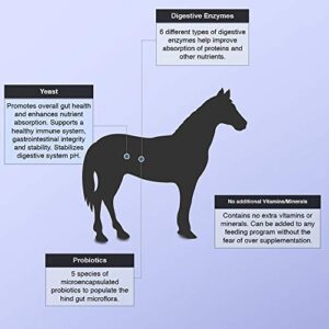 Animal Health Solutions - Equerry's Large Animal Probiotic, Digestive Aid Helping to Improve Energy and Vigor (5 pounds)