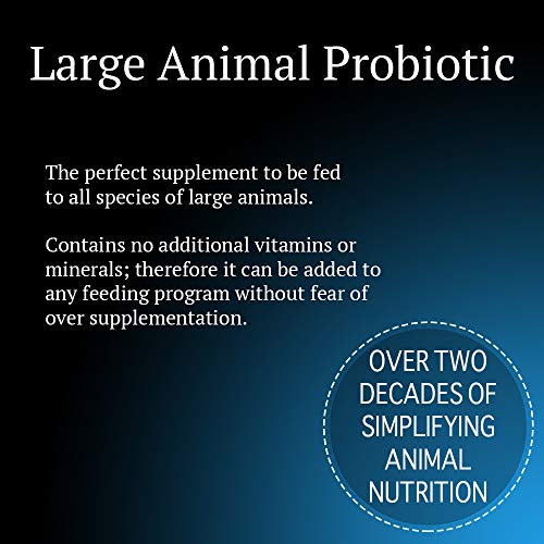 Animal Health Solutions - Equerry's Large Animal Probiotic, Digestive Aid Helping to Improve Energy and Vigor (5 pounds)