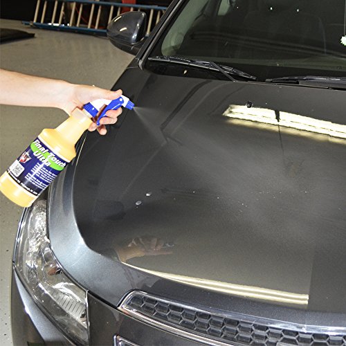 Detail King Final Touch Ultra Express Car Wax Spray - All Surface - Protect & Shine - Dry Wash Wax - 16 oz