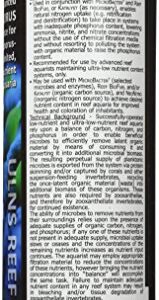 Brightwell Aquatics NeoPhos - Phosphorus Supplement for Ultra-Low Nutrient Reef Aquarium Systems, 500ml