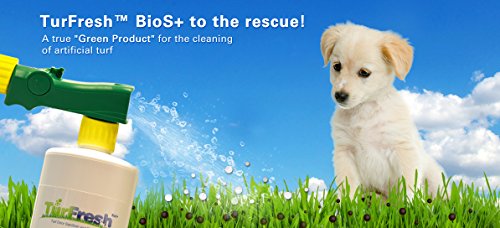 BioTurf BioS+ Artificial Turf Grass Concentrate Enzyme Cleaner and Pet Odor Eliminator - Removes Odors and Sanitizes - Organic, Safe, Environmentally Responsible (1 Gallon)