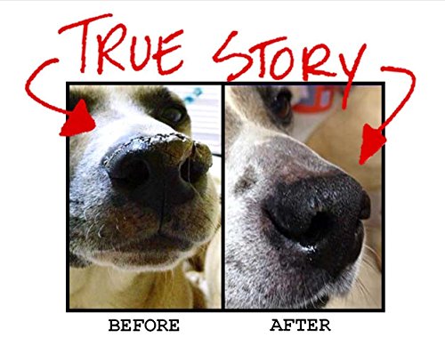 Snout Magic: 100% Organic and Natural Dog Nose Butter (2oz) - Proven to Cure Your Dog's Dry, Chapped, Cracked, and Crusty Nose