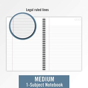 Cambridge Business Notebook, Legal Ruled, 6-1/2" x 9-1/2", Wirebound, Black, 2 Pack (73599)