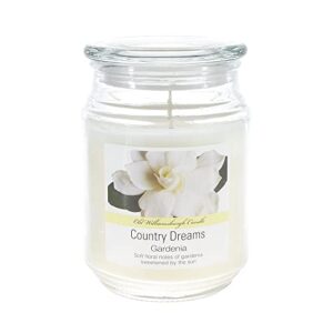 scented 18 ounce glass jar container candle - gardenia