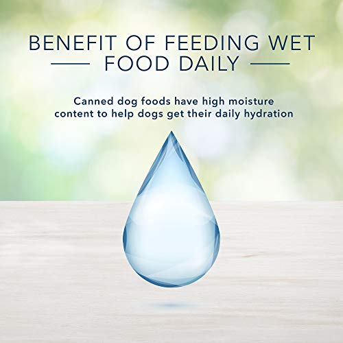 Blue Buffalo Freedom Grain Free Natural Puppy Wet Dog Food, Chicken 12.5oz cans (Pack of 12)