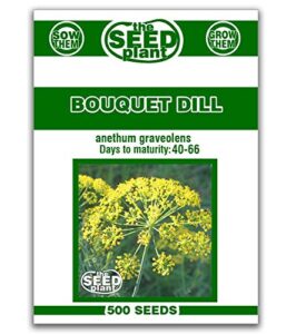 bouquet dill seeds 500 seeds non-gmo