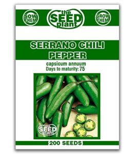 serrano chili pepper seeds - 200 seeds non-gmo