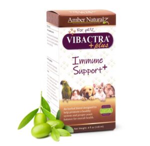 amber naturalz - vibactra plus immune support plus - an antioxidant enriched formula helps fight free radicals, supports healthy yeast balance, maintains healthy gut flora, supports upper respiratory health and oral health - 4 oz