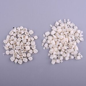 100pcs Temporary Crown Veneers Material Anterior Front Back Molar Teeth by Superdental