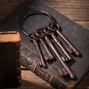 Salomé Idea 8" Vintage Cast Iron Skeleton Key Ring Antique Style Pirate Treasure Chest Keys Set for Farmhouse Decor, Halloween Home Decoration Prop(5 Keys-Brown)