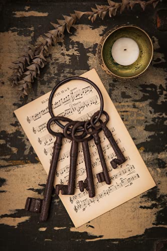 Salomé Idea 8" Vintage Cast Iron Skeleton Key Ring Antique Style Pirate Treasure Chest Keys Set for Farmhouse Decor, Halloween Home Decoration Prop(5 Keys-Brown)