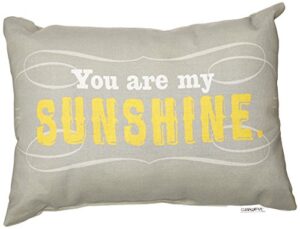 manual reversible indoor/outdoor throw pillow, you are my sunshine, 18 x 13-inch