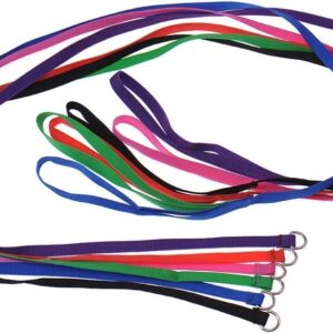 6 Pcs Bulk Pack Slip Leads Dog Pet Grooming Kennel Small Animal Control Shelter Lead Leash