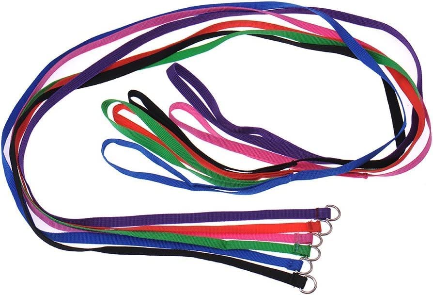 6 Pcs Bulk Pack Slip Leads Dog Pet Grooming Kennel Small Animal Control Shelter Lead Leash