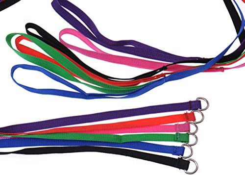 6 Pcs Bulk Pack Slip Leads Dog Pet Grooming Kennel Small Animal Control Shelter Lead Leash