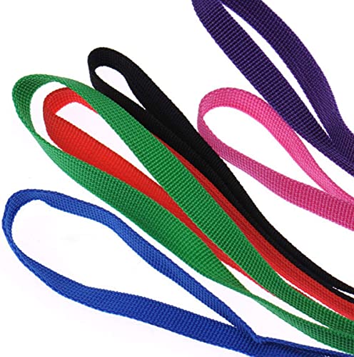 6 Pcs Bulk Pack Slip Leads Dog Pet Grooming Kennel Small Animal Control Shelter Lead Leash