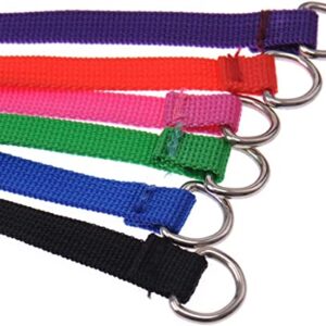 6 Pcs Bulk Pack Slip Leads Dog Pet Grooming Kennel Small Animal Control Shelter Lead Leash