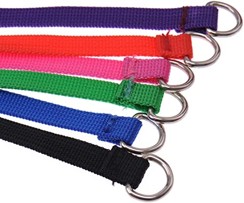 6 Pcs Bulk Pack Slip Leads Dog Pet Grooming Kennel Small Animal Control Shelter Lead Leash