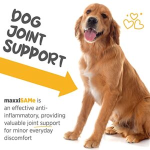 maxxipaws maxxiSAMe Sam-e Supplement for Dogs - Dog Liver and Cognitive Brain Support - Given with Food Powder 5.3 oz