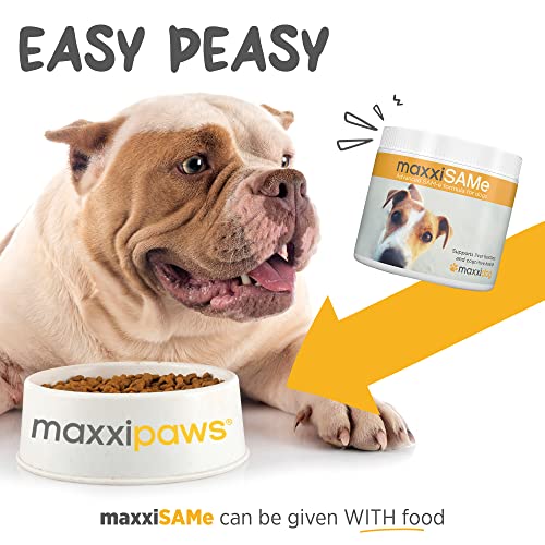 maxxipaws maxxiSAMe Sam-e Supplement for Dogs - Dog Liver and Cognitive Brain Support - Given with Food Powder 5.3 oz