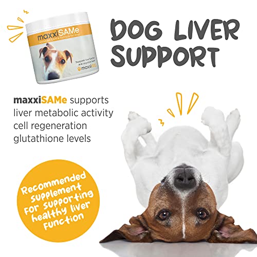 maxxipaws maxxiSAMe Sam-e Supplement for Dogs - Dog Liver and Cognitive Brain Support - Given with Food Powder 5.3 oz