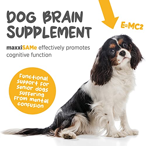 maxxipaws maxxiSAMe Sam-e Supplement for Dogs - Dog Liver and Cognitive Brain Support - Given with Food Powder 5.3 oz