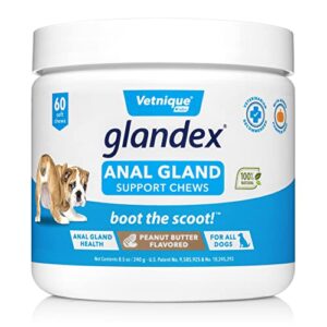 vetnique labs glandex anal gland soft chew treats with pumpkin for dogs digestive enzymes, probiotics fiber supplement for dogs boot the scoot (peanut butter chews, 60ct)