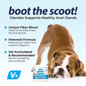 Vetnique Labs Glandex Anal Gland Soft Chew Treats with Pumpkin for Dogs Digestive Enzymes, Probiotics Fiber Supplement for Dogs Boot The Scoot (Peanut Butter Chews, 60ct)