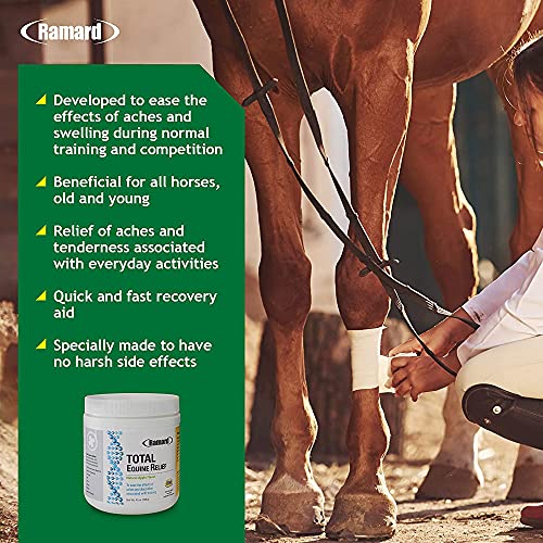 Ramard Total Equine Relief - Total Equine Supplement to Care for Joint & Tendon Health, Horse Feed to Address Swelling & Discomfort, Supplement for Horses' Performance, 1 Jar Apple Flavor (4.5 oz).