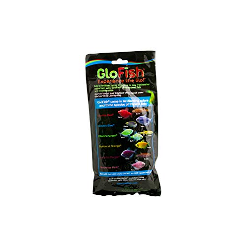 GloFish 29286 Multi-Pack Plants Medium