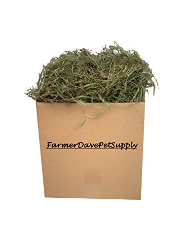 FarmerDavePetSupply 3 Lb Second Cut Timothy Hay, Bunny, Guinea Pig and Chinchilla Hay