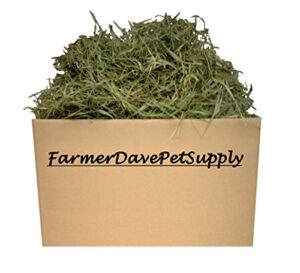 10 lb second cut timothy hay, bunny, guinea pig and chinchilla hay