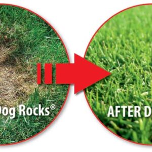 Dog Rocks - Prevent Grass Burn Spots by Pet Urine, Save Your Lawn from Yellow Marks, 3 Bags of 200g Each (6 Month Supply Total)