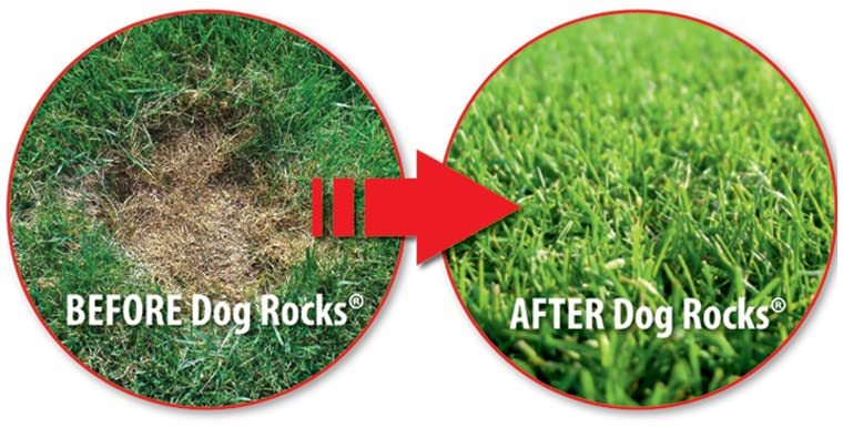 Dog Rocks - Prevent Grass Burn Spots by Pet Urine, Save Your Lawn from Yellow Marks, 3 Bags of 200g Each (6 Month Supply Total)