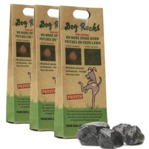 Dog Rocks - Prevent Grass Burn Spots by Pet Urine, Save Your Lawn from Yellow Marks, 3 Bags of 200g Each (6 Month Supply Total)