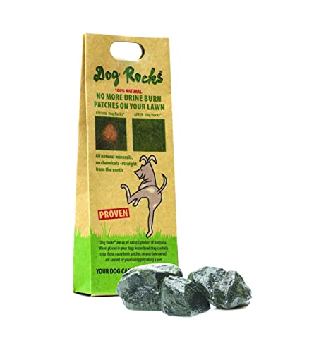 Dog Rocks - Prevent Grass Burn Spots by Pet Urine, Save Your Lawn from Yellow Marks, 3 Bags of 200g Each (6 Month Supply Total)