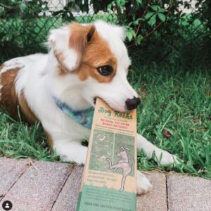 Dog Rocks - Prevent Grass Burn Spots by Pet Urine, Save Your Lawn from Yellow Marks, 3 Bags of 200g Each (6 Month Supply Total)