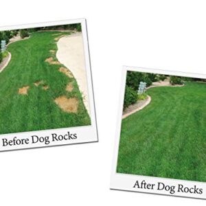 Dog Rocks - Prevent Grass Burn Spots by Pet Urine, Save Your Lawn from Yellow Marks, 3 Bags of 200g Each (6 Month Supply Total)