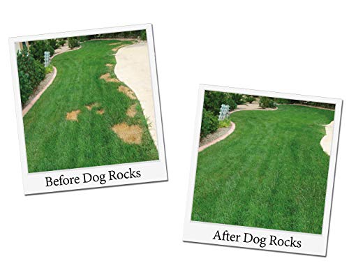 Dog Rocks - Prevent Grass Burn Spots by Pet Urine, Save Your Lawn from Yellow Marks, 3 Bags of 200g Each (6 Month Supply Total)