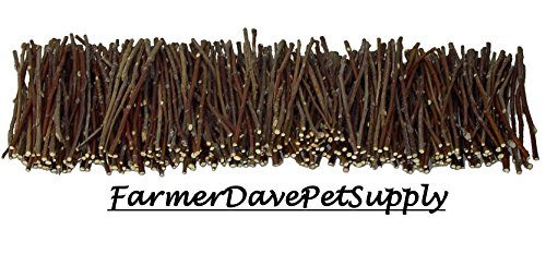 500 Apple Skinny Twig Chew Jumbo Pack for Rabbits, Guinea Pigs, Chinchillas and Other Small Animals