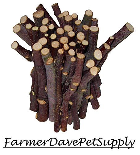 45 Apple Chew Stick Bonus Pack for Small Animals