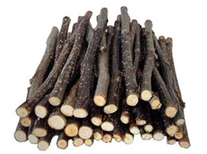 farmerdavepetsupply 40 apple thin chew sticks for small animals