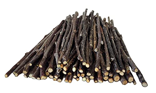 FarmerDavePetSupply 60 Apple Skinny CHEW Twigs for Small Animals