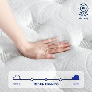 Olee Sleep 10 Inch Milky Way Tight Top Hybrid Spring Mattress, Full, White