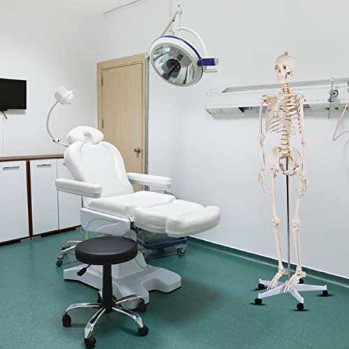 Giantex B010L18XEW Life Size 70.8" Human Anatomical Anatomy Skeleton Medical Model + Stand