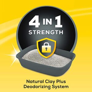 Purina Tidy Cats Clumping Cat Litter, 4-in-1 Strength Multi Cat Litter - 35 lb. Pail