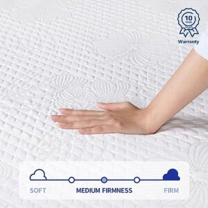 Olee Sleep 8 Inch Convolution Memory Foam Mattress, Twin, White