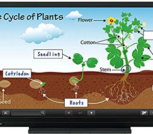 Sharp PN-C703B 70" Class LED Display