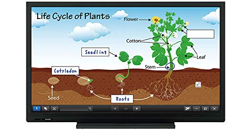 Sharp PN-C703B 70" Class LED Display