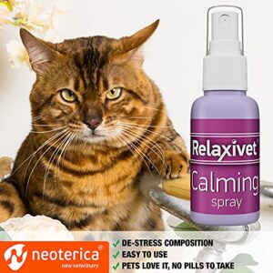 Beloved Pets Calming Pheromone Spray & Scratch Repellent for Cats - Reduce Scratching Furniture, Pee - During Travel, Fireworks, Thunder, Vet Zone - Helps to Relief Stress, Fighting, Hiding